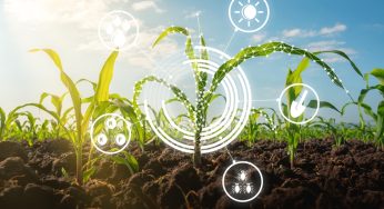 Blockchain en Agro: ¿Cómo funciona? – Trazabilizad y Casos de Uso